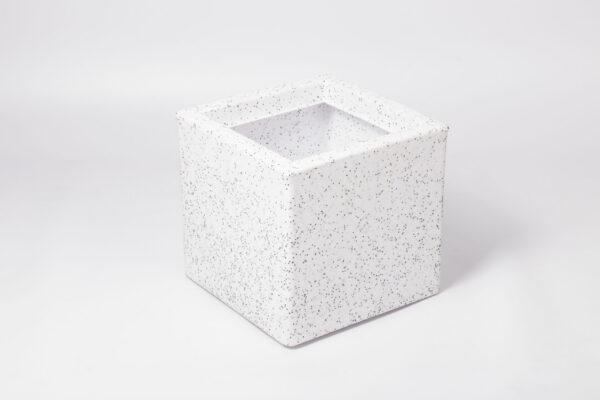 _MG_6642 CHATUR | चतुर