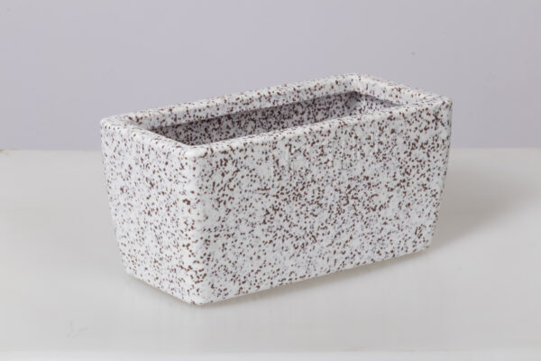 _MG_6927 KRUPIKA | कृपिका