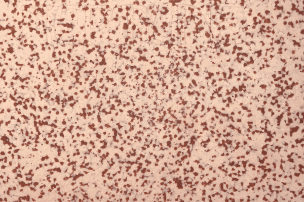 Copper Stone RUHARA | रुहारा