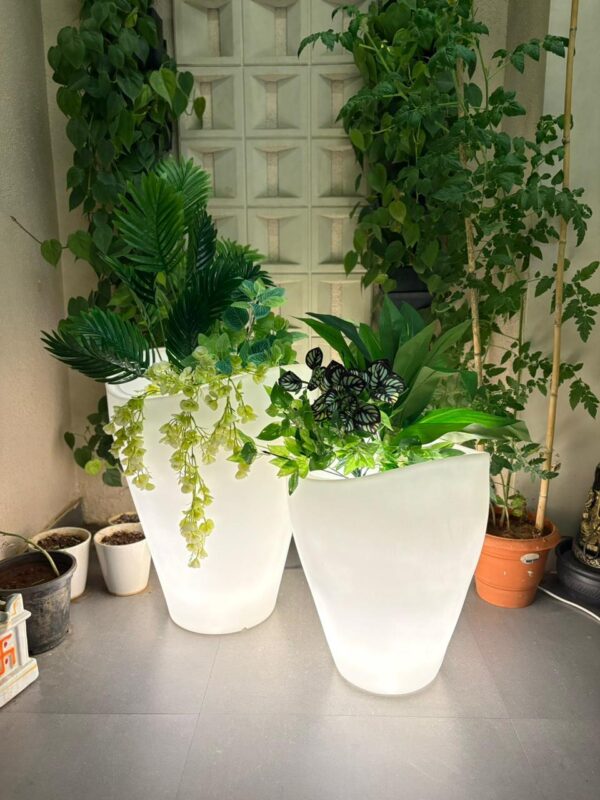 LED GULARKA | गुलार्का