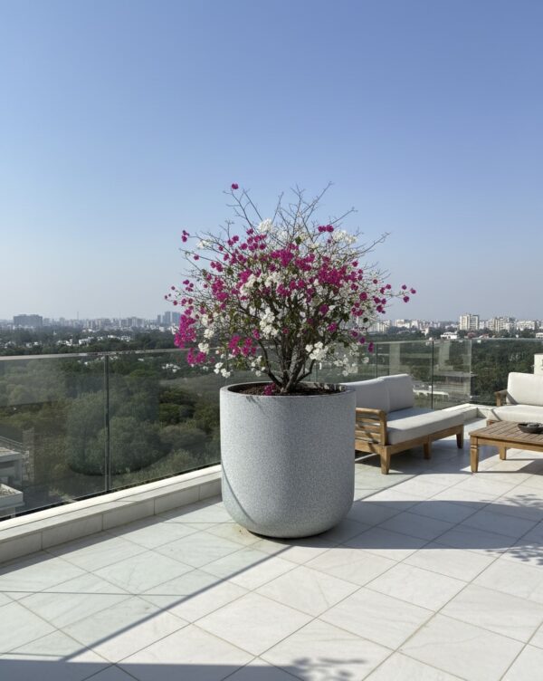 IMG_1703 ORBA | औरबा