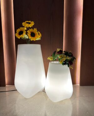 LED SYARA | सयारा