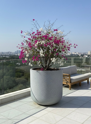 Untitled design - 2025-12-22T140622.597 ORBA | औरबा