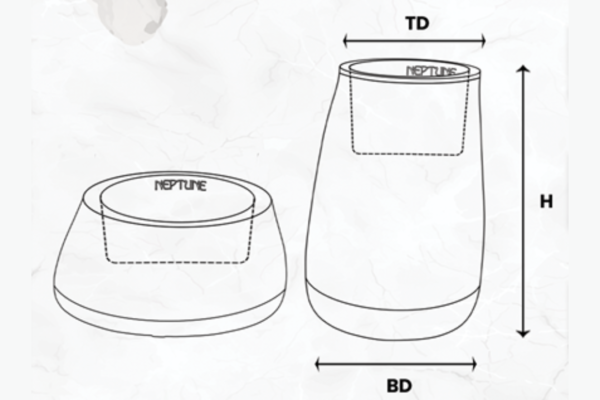 TRIVA | त्रिवा