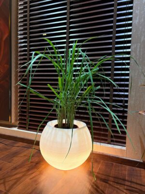 WhatsApp Image 2025-12-04 at 3.05.57 PM LED PRITHVI | ΰ€ͺΰ₯ΰ€₯ΰ₯ΰ€΅ΰ₯