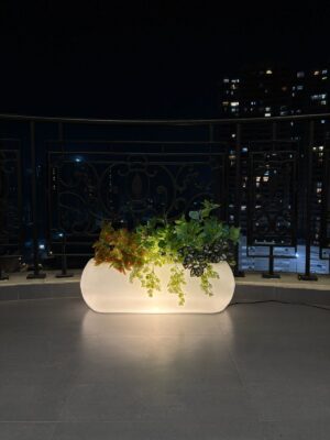 WhatsApp Image 2025-12-04 at 3.17.24 PM LED SVARNA | ΰ€Έΰ₯ΰ€΅ΰ€°ΰ₯ΰ€£ΰ€Ύ