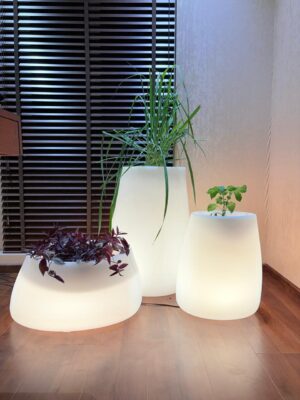 LED TRIVA | त्रिवा