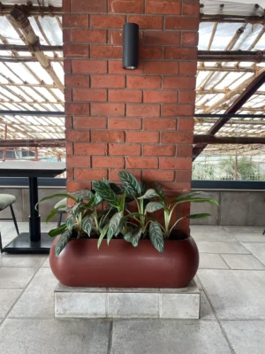 SVARNA | स्वर्ण