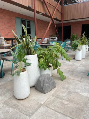 TRIVA | त्रिवा