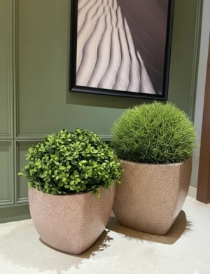 GULAKSH | गुलाक्ष