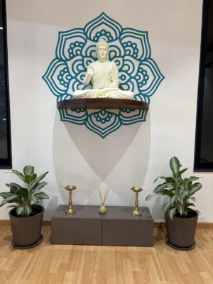 SHUBHRA | शुभ्रा