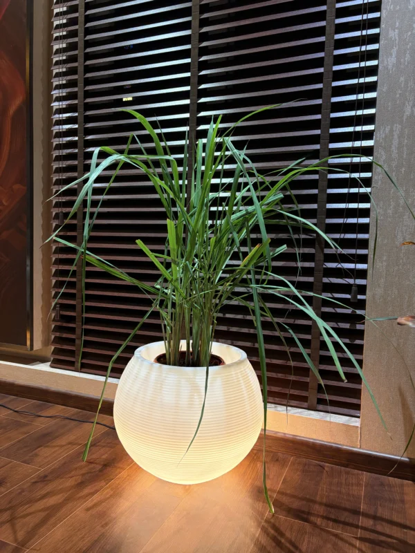 IMG_9802 LED PRITHVI | पृथ्वी